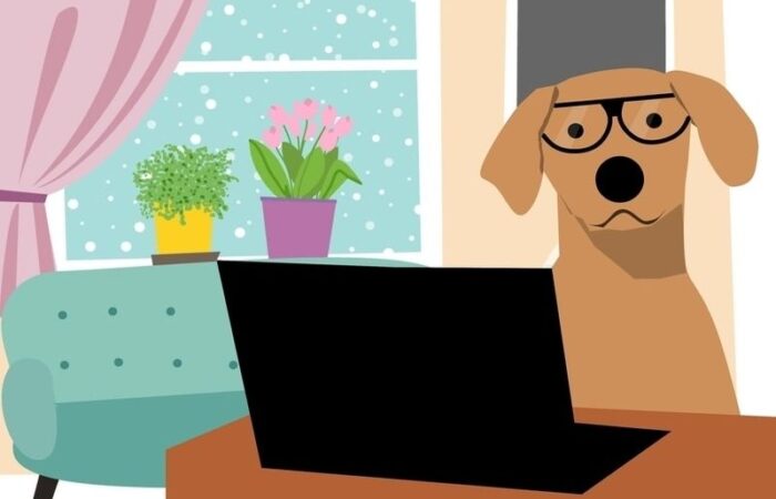 dog with glasses sitting at desk in a living room working on a computer.