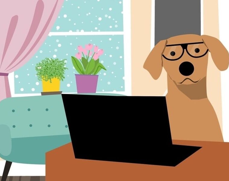dog with glasses sitting at desk in a living room working on a computer.