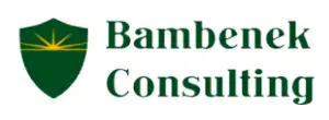 bambenek counseling logo