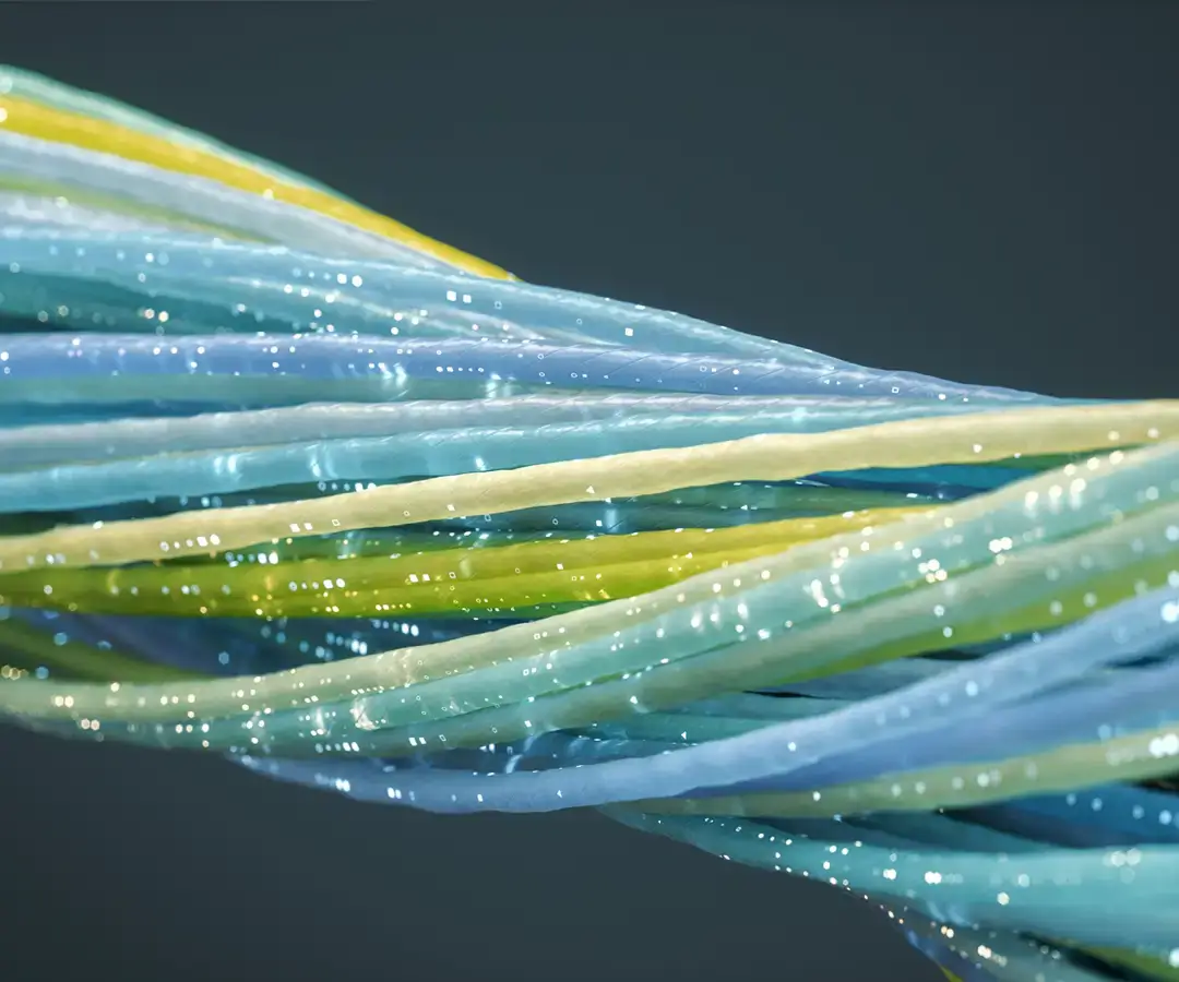 a bundle of Internet cables.
